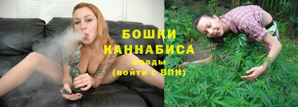 молекула духа Верхний Тагил