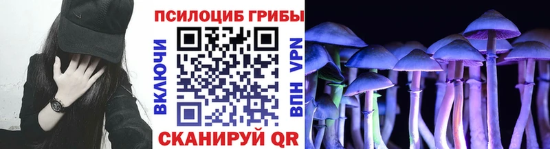Галлюциногенные грибы GOLDEN TEACHER  мега сайт  Гаврилов Посад 
